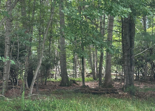 Property at TBD Carsonville Rd Unit Parcel 3, Independence, VA 24348