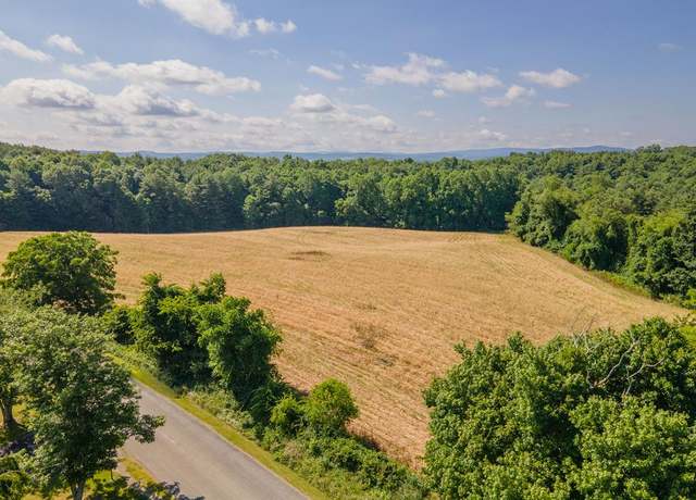 Property at TBD Hanging Tree Unit 51A99, Hillsville, VA 24343