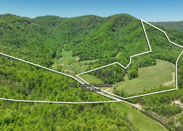 Property at 1619 Squirrel Creek Rd #86, Ararat, VA 24053