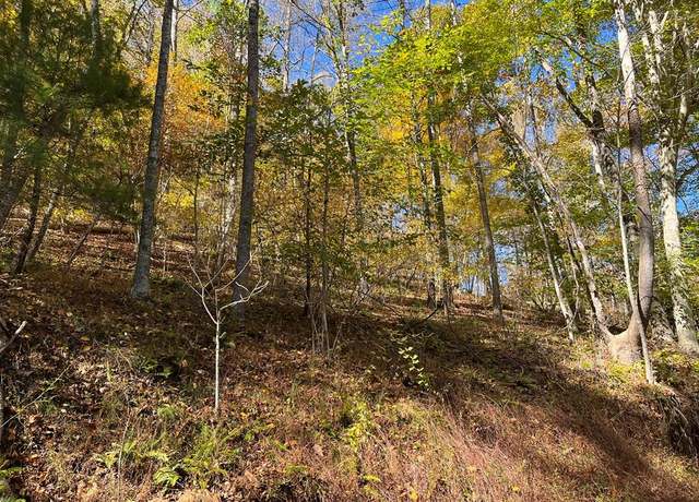 Property at Tbd Grayson Pkwy Unit 76-A-34, Galax, VA 24333