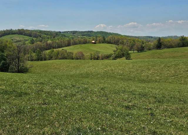 Property at 732 Raindrop Rd #0, Fancy Gap, VA 24328