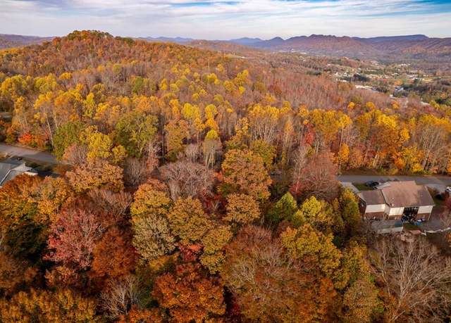 Property at TBD Airport Rd Unit 5 & 6, Cedar Bluff, VA 24609