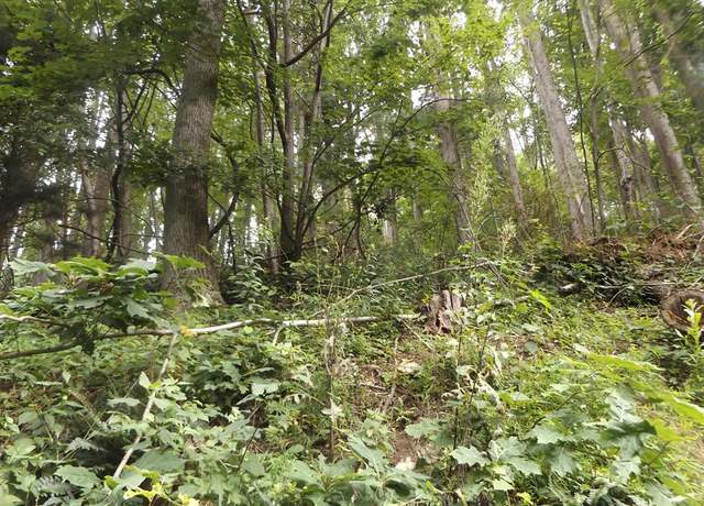 Property at TBD Chalet Dr #7, Fancy Gap, VA 24328