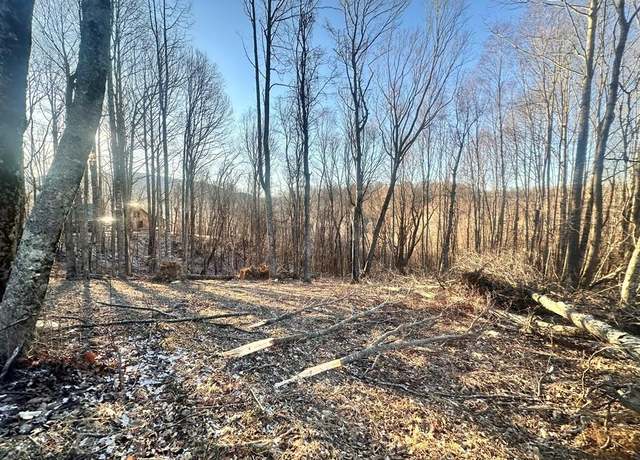 Property at TBD Hidden Valley Ln #10, Independence, VA 24348