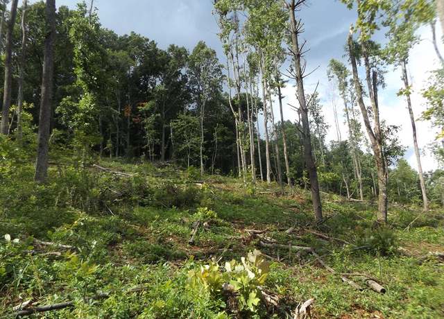 Property at TBD Danville Pike #1, Laurel Fork, VA 24352