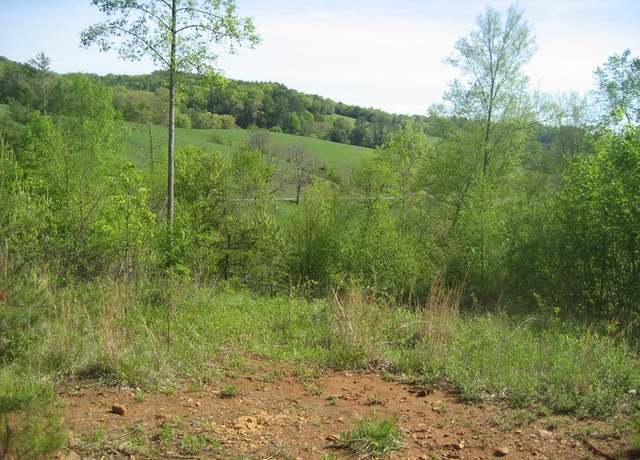 Property at 654 Silverleaf Rd #33, Dugspur, VA 24325