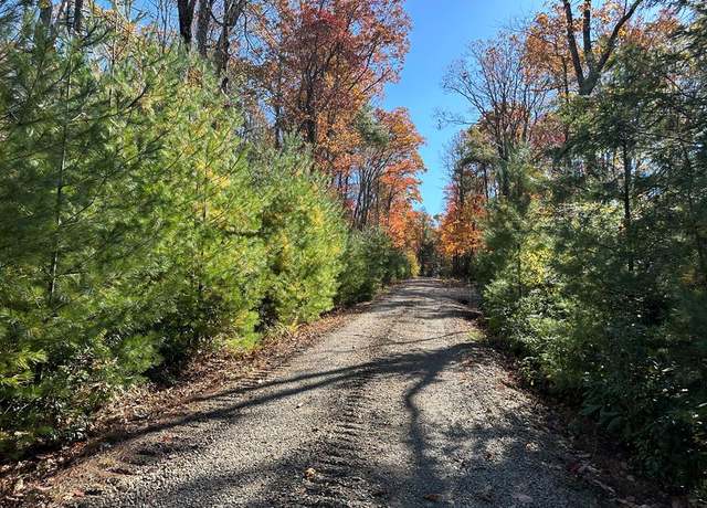 Property at 555 Evergreen Trl #13, Fancy Gap, VA 24328