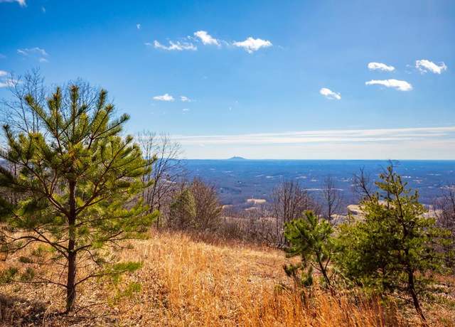 Property at 82 Acres Spring Pond Trl Unit 28 Lots, Fancy Gap, VA 24328