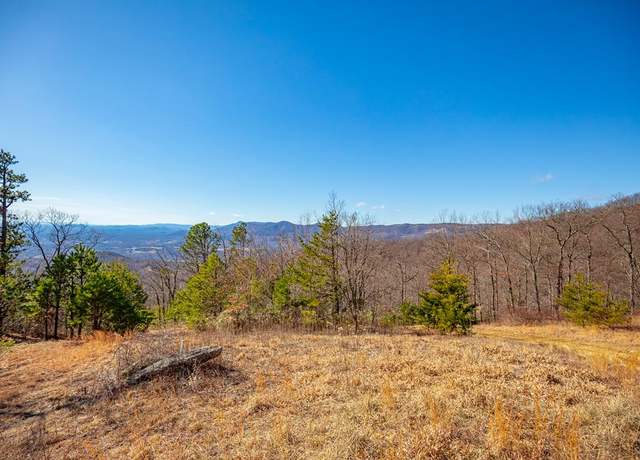 Property at 65 Acres Spring Pond Trl Unit See Addendum, Fancy Gap, VA 24328