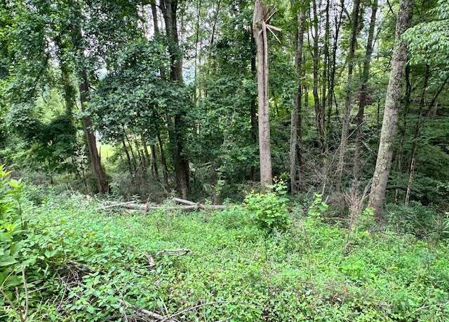 Property at 000TBD Bluejay St #0005, VA 24609