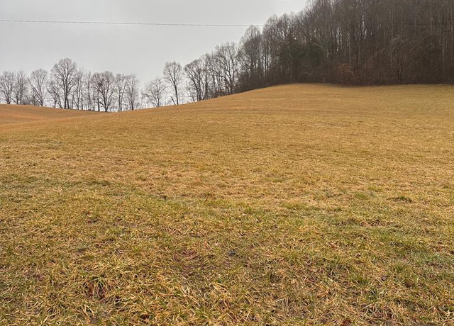 Property at 16037 Knights Bridge Rd #52, Abingdon, VA 24210