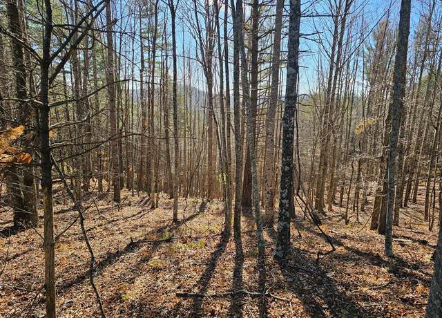 Property at 1248 Buck Trl Unit 21 & 22, Woodlawn, VA 24381