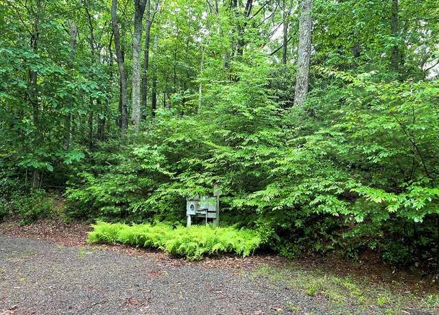 Property at TBD Forest Park Ln #1, Fancy Gap, VA 24328