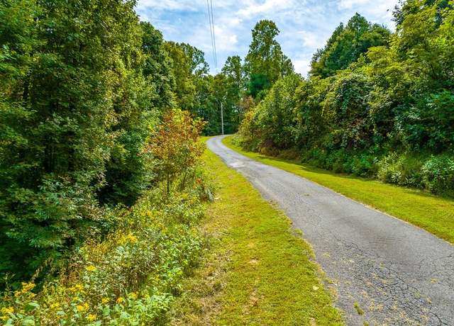 Property at 250 Covered Bridge Trl Unit 255 & 204, Fancy Gap, VA 24328