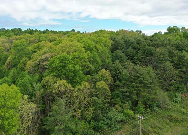 Property at TBD Danville Pike Unit N/A, Laurel Fork, VA 24352