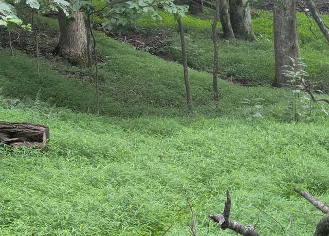 Property at Lot 5 Elk Spur Rd #5, Fancy Gap, VA 24328