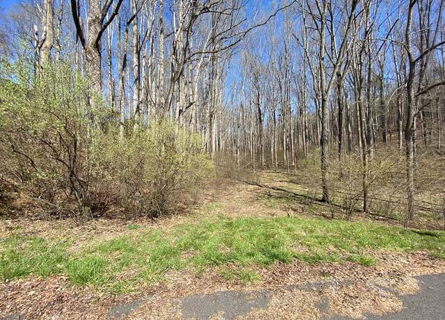 Property at tbd Carterville Heights Rd #0, Max Meadows, VA 24360