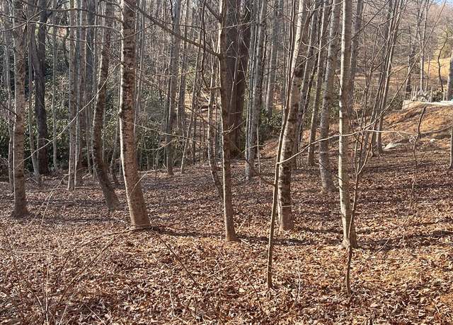 Property at Tbd Brookside Trl Unit 129A-3-78, Fancy Gap, VA 24328