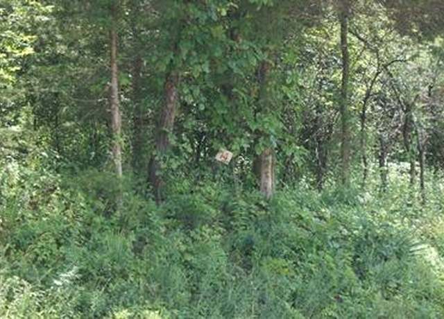 Property at TBD Lead Mine Rd #14, Austinville, VA 24312