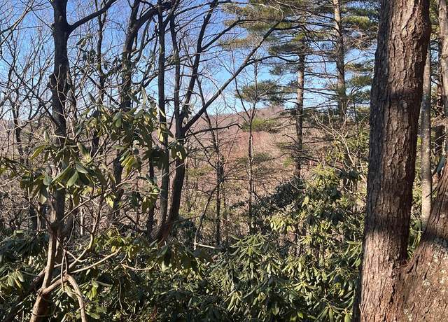 Property at Tbd Rock Ledge Trl Unit C9, Fancy Gap, VA 24328