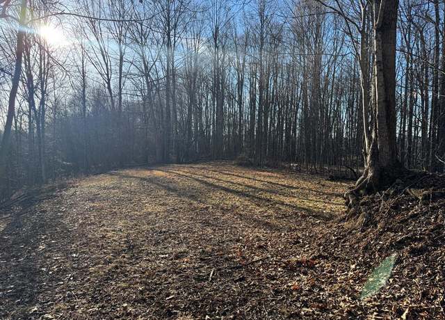Property at 31203 Hardwood Dr #53, Meadowview, VA 24361