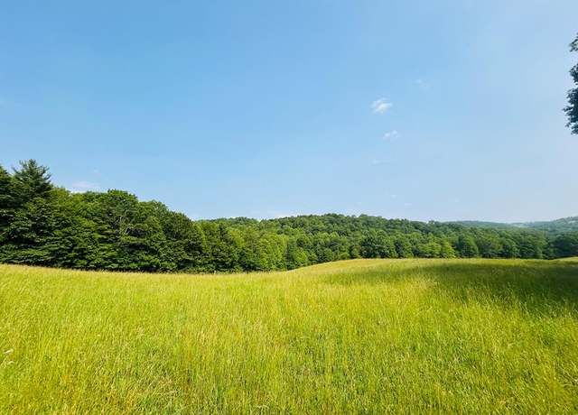 Property at TBD Shady Grove Rd #89, Indian Valley, VA 24380