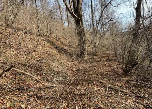 Property at TBD Orchard Gap Rd Unit 36-39, Fancy Gap, VA 24328