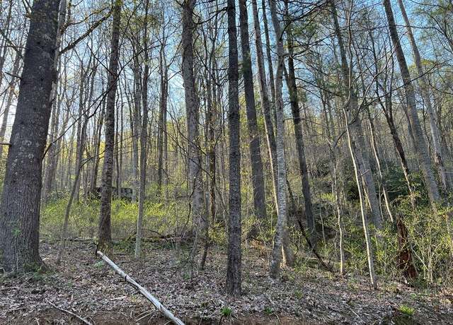 Property at TBD Briar Rock Trl Unit T-17, Fancy Gap, VA 24328