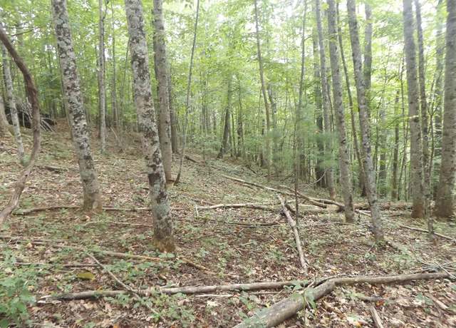 Property at TBD Kanawha Rdg #9, Dugspur, VA 24325