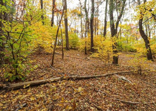Property at Lot 109 Old Hollow Trl #109, Fancy Gap, VA 24328
