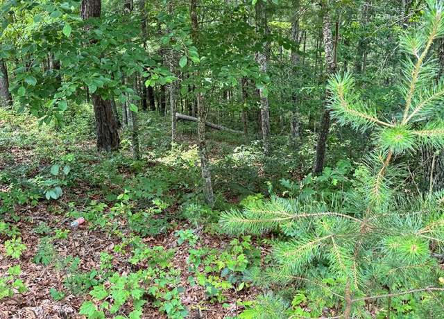 Property at Lot 48 Honey Maple Trl #48, Austinville, VA 24312
