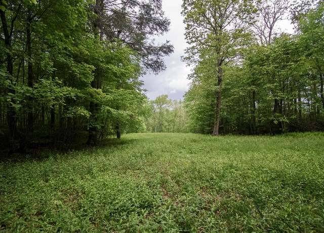 Property at TBD Keno Rd Unit 134-A-2A, Laurel Fork, VA 24352
