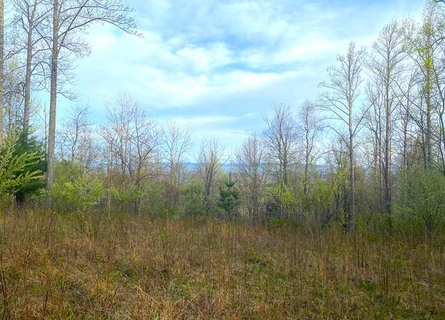 Property at TBD Greentree Ln #16, Galax, VA 24333