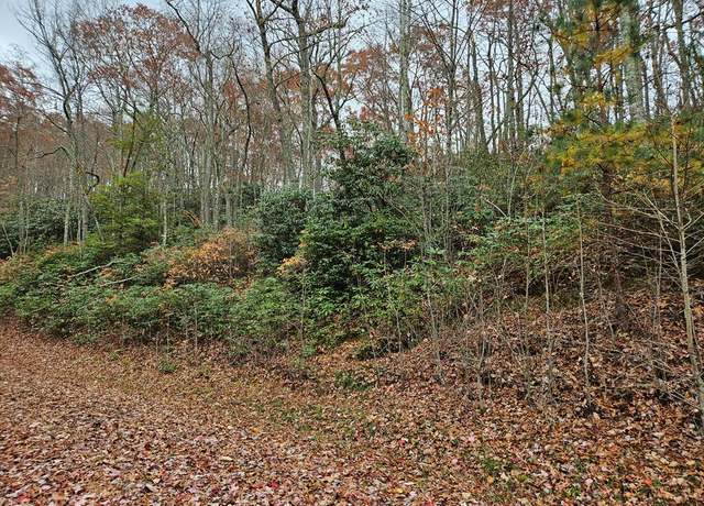 Property at Lot 17 Fox Hollow Dr #17, Bastian, VA 24314
