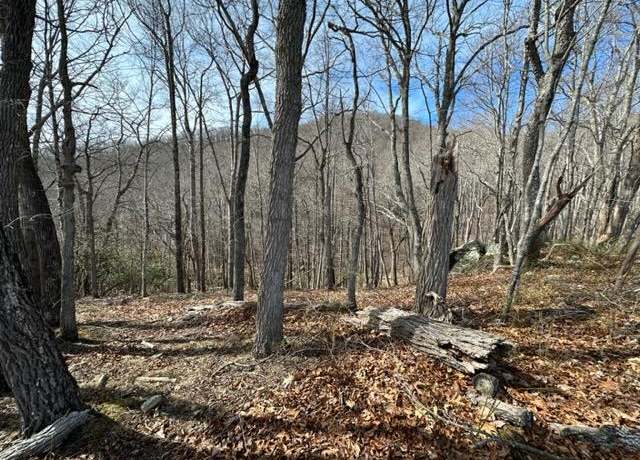 Property at 107 Point Lookout Ln #107, Independence, VA 24348