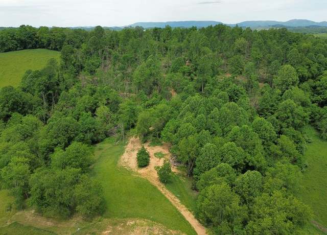 Property at TBD Isaac Ln Unit NA, Meadowview, VA 24361