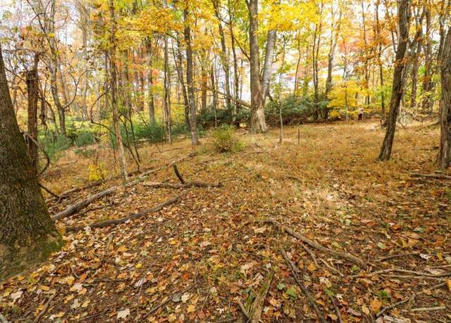 Property at Lot 133 Old Hollow Trl #133, Fancy Gap, VA 24328
