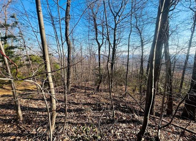 Property at TBD Reflections Point Trl Unit 69, 95, 96, Fancy Gap, VA 24328