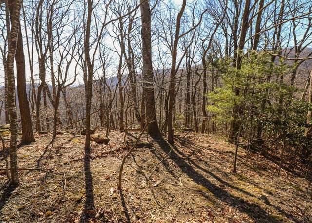 Property at Lot 75 Black Gum Trl #75, Fancy Gap, VA 24328