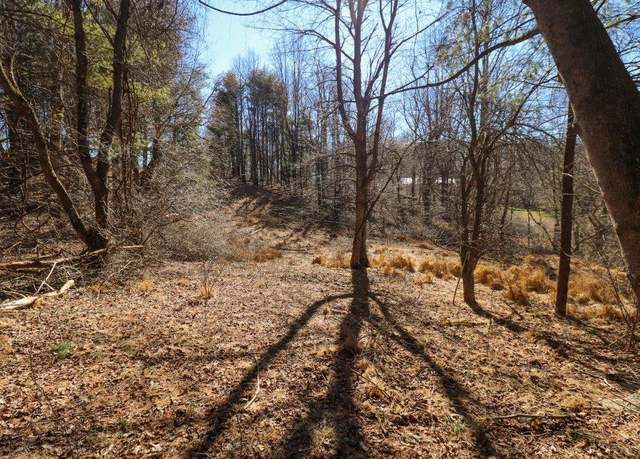 Property at Lot 65 Southern View Trl #65, Fancy Gap, VA 24328