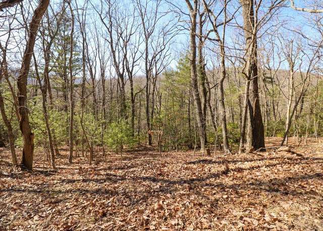 Property at C11-C12 Little Ridge Trl Unit C11 & C12, Fancy Gap, VA 24328