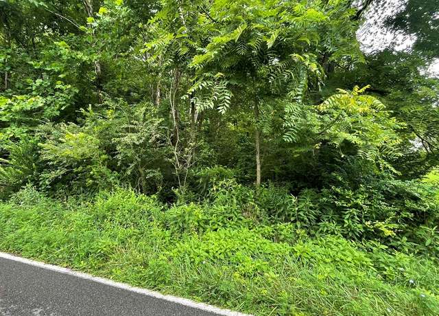 Property at TBD Drill Rd Unit N/a, Honaker, VA 24260