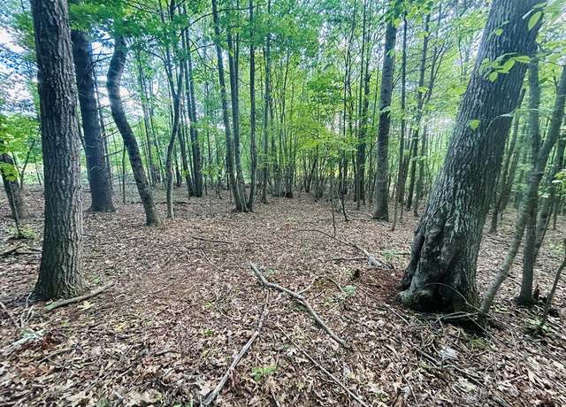 Property at TBD Pipers Gap Rd #0, Galax, VA 24333