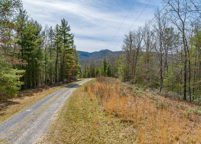 Property at Lot 6 N Sunset Ln #6, Bland, VA 24315