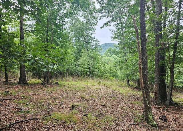 Property at TBD Mallard Ln #0, Fries, VA 24330