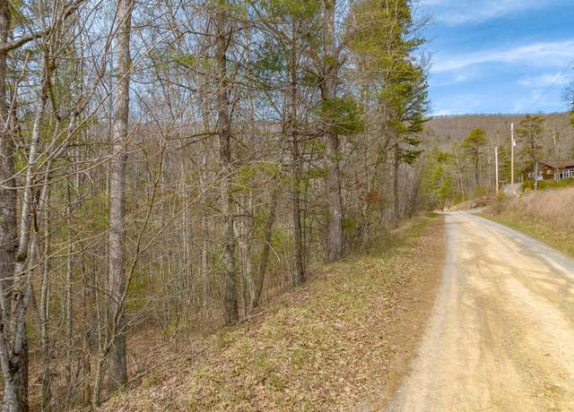 Property at Lot12/14 Lake Forest Ln Unit 12 & 14, Bland, VA 24315