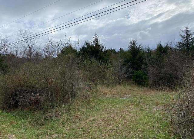 Property at 0 Moose St Unit N/A, Pounding Mill, VA 24637