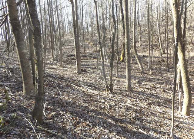 Property at 112 Chantilly Dr #1, Fancy Gap, VA 24328