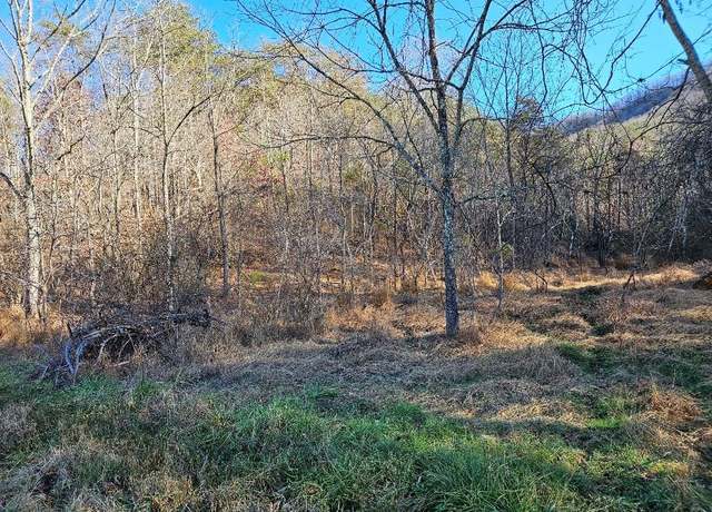Property at TBD Cleghorn Valley Rd #65, Marion, VA 24354