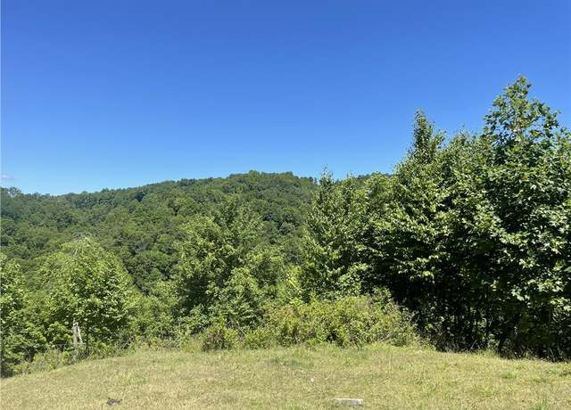 Property at 370 Jackie Dye Rd #0, Swords Creek, VA 24649